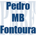 Pedro M. B. Fontoura - Despachante Oficial, Lda