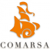 40- Comarsa